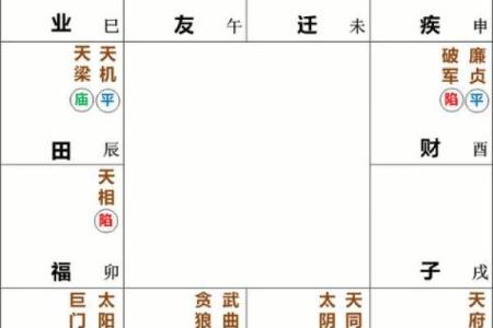 紫微斗数之事业宫与诸星，贪狼星在事业宫是什么意思？