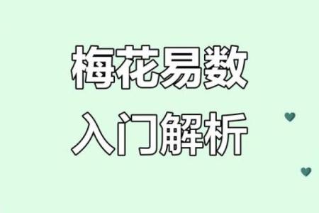 用梅花易数可以算命吗
