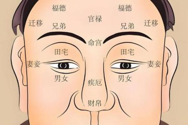 看脸上胎记算命知命运