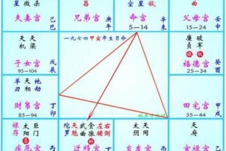 查紫薇斗数