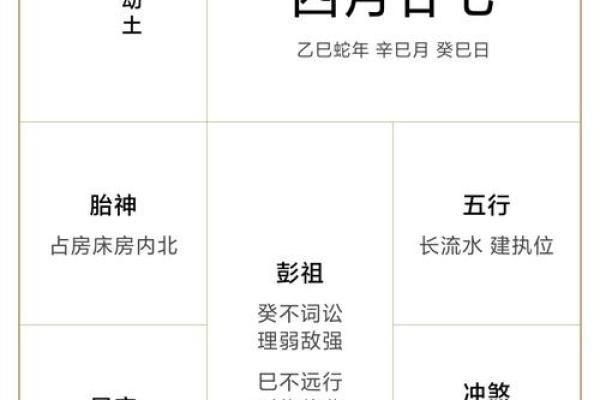 八字己巳日