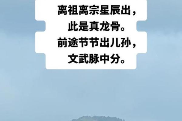 风水大地_风水宝地的意思
