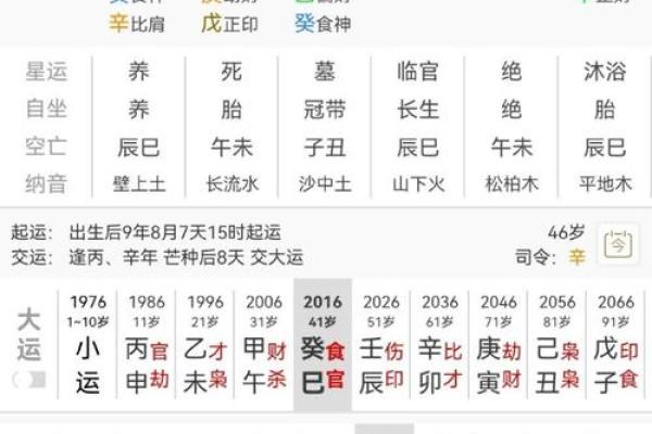 八字看事业