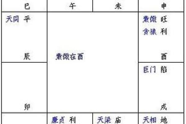 干装修紫薇斗数