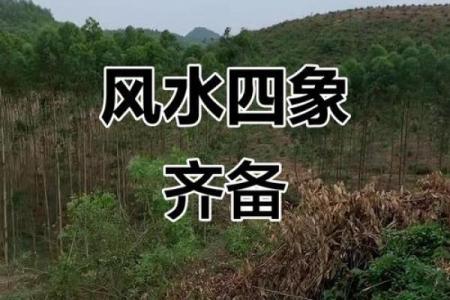 风水大地_风水宝地的意思
