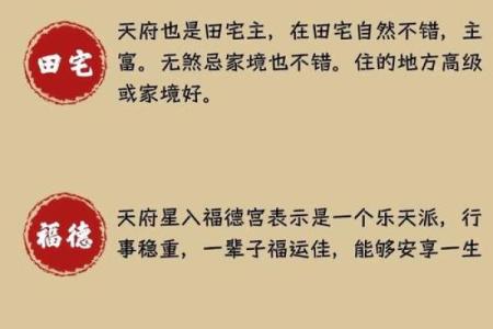 紫薇斗数子平斗数